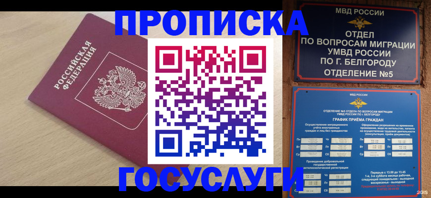 прописка законно в Чечне